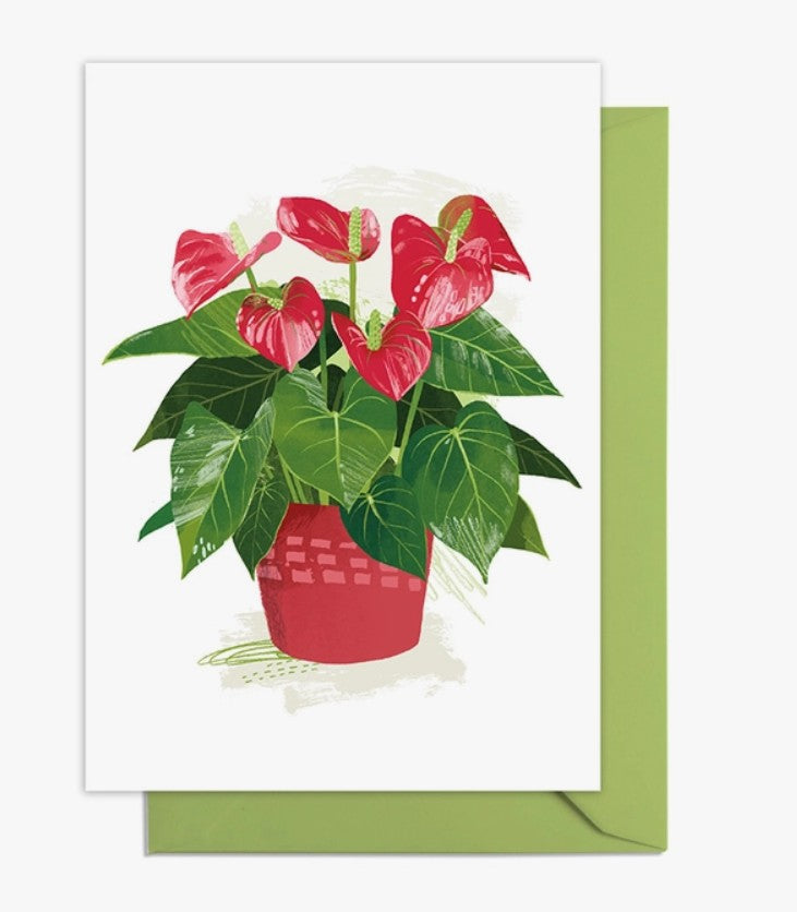 Anthurium Greetings Card