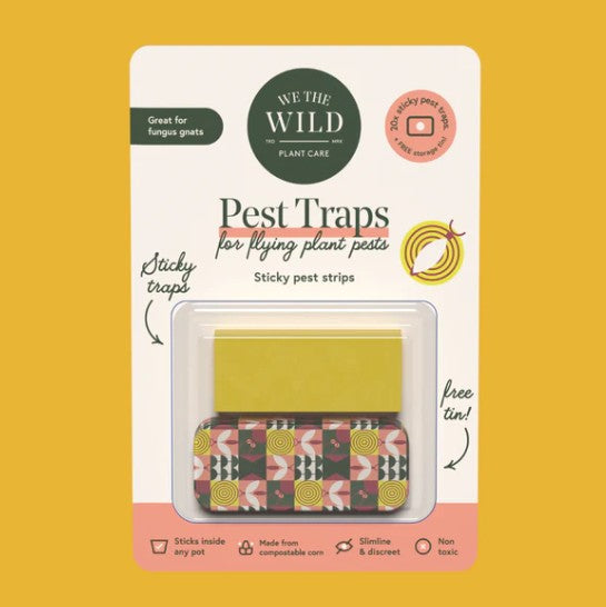Compostable Gnat Traps