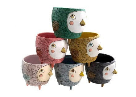birdie plant pot Baby Birdie Planters – JoJo's Greens