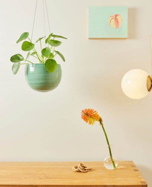 Spherical Hanging Planter Celadon Green Crackle