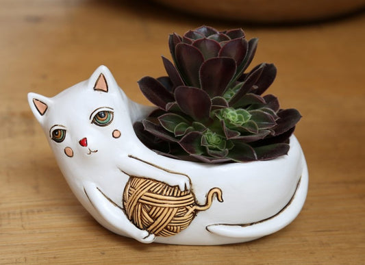 Baby White Cat with yarn planter