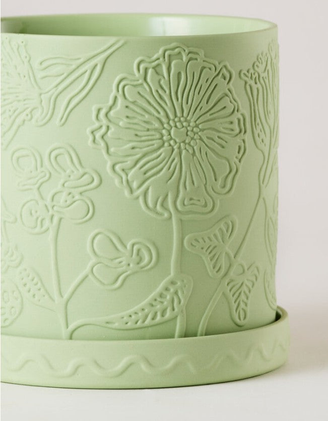 Callista Pot Lime