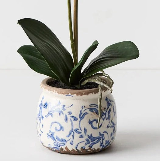 Faux - Orchid Phalaenopsis in Scarla Pot