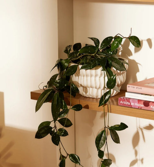 Somerset Ribbed White Planter