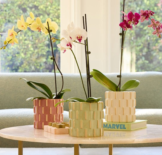 Knox Cylinder Pot - White