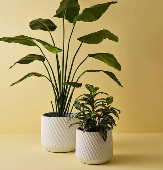 Pot Ando - White - 2 sizes