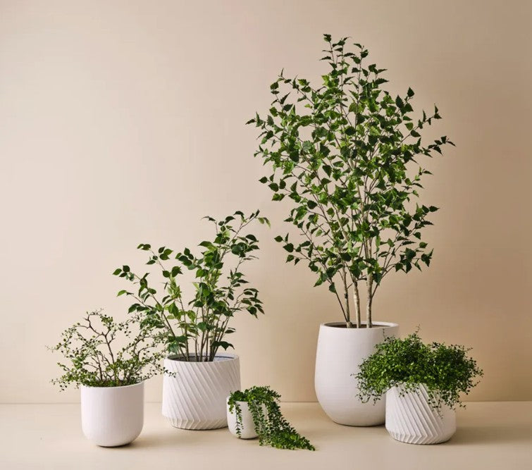 Pot Ando - White - 2 sizes