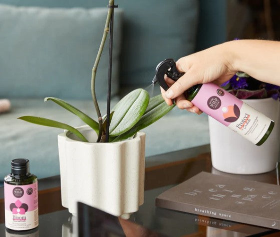Orchid Protect Spray 250ml