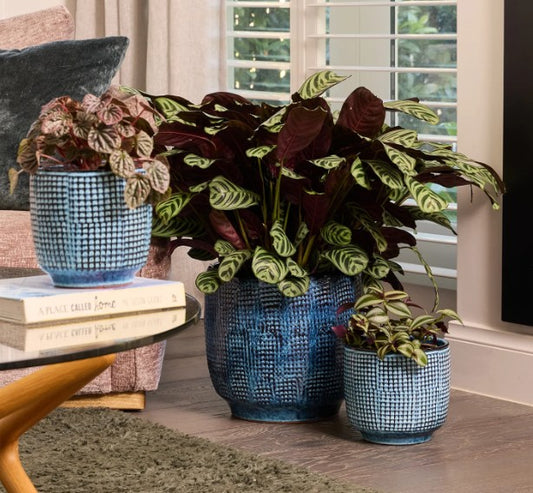 Kyoto Egg Pot 3 sizes