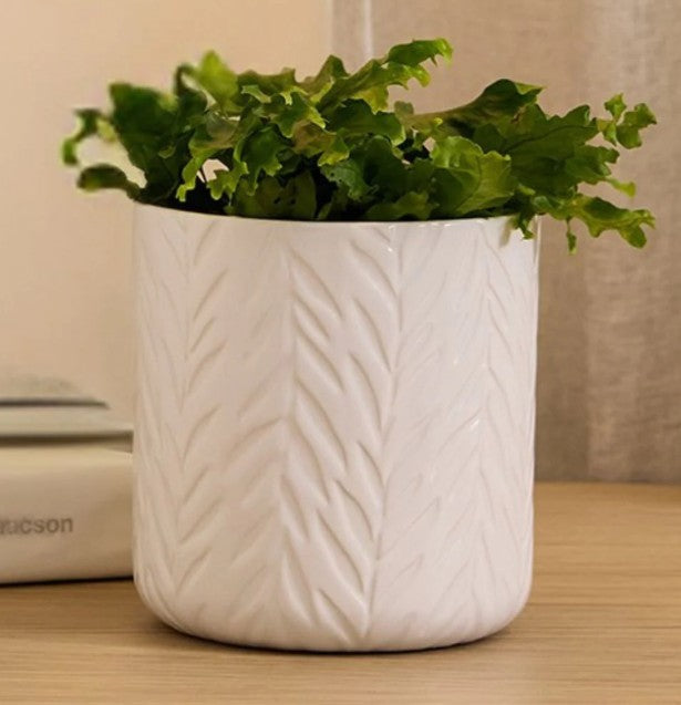 Hazel Cylinder Pot - White- 2 designs
