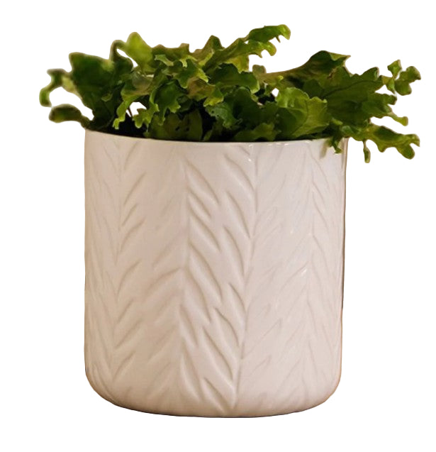 Hazel Cylinder Pot - White- 2 designs