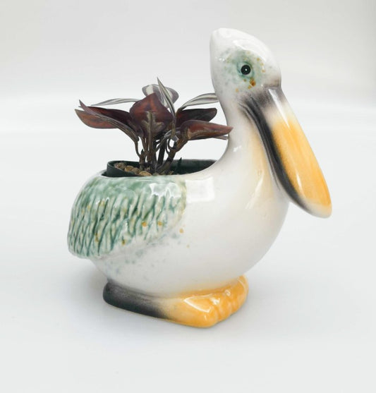 Reef Pelican Planter White 17cm