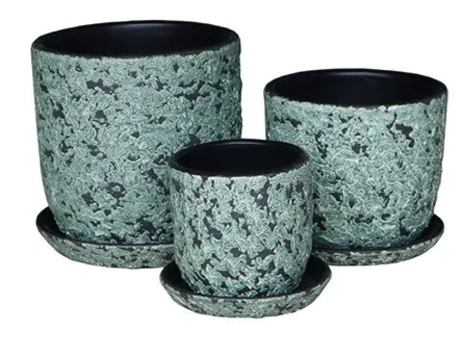 Nautilus Pots with Saucers - Coral Green - 3 sizes