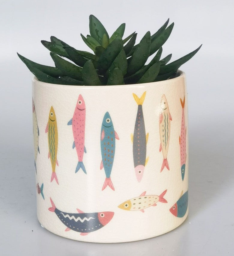 Sardine Planter 14cm