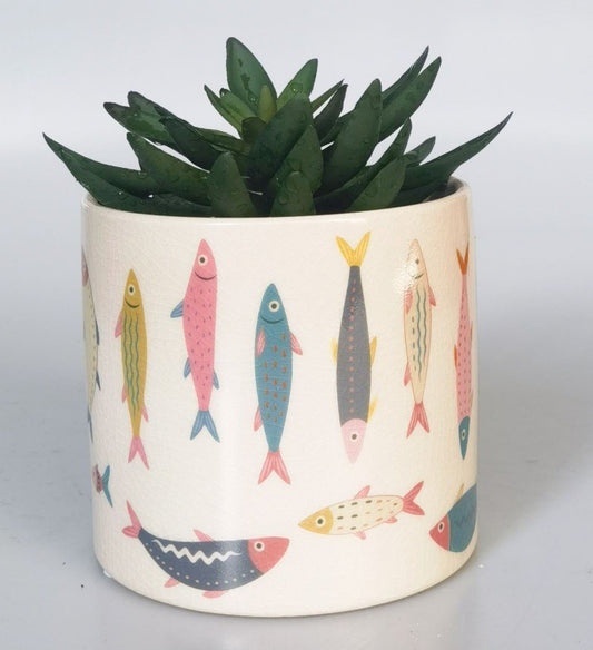 Sardine Planter 14cm