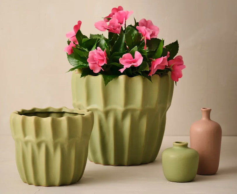 Halli Pot - Wasabi