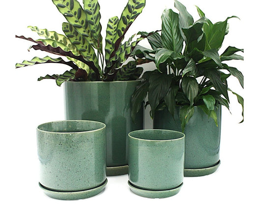 Oslo Planter - Agave - Medium