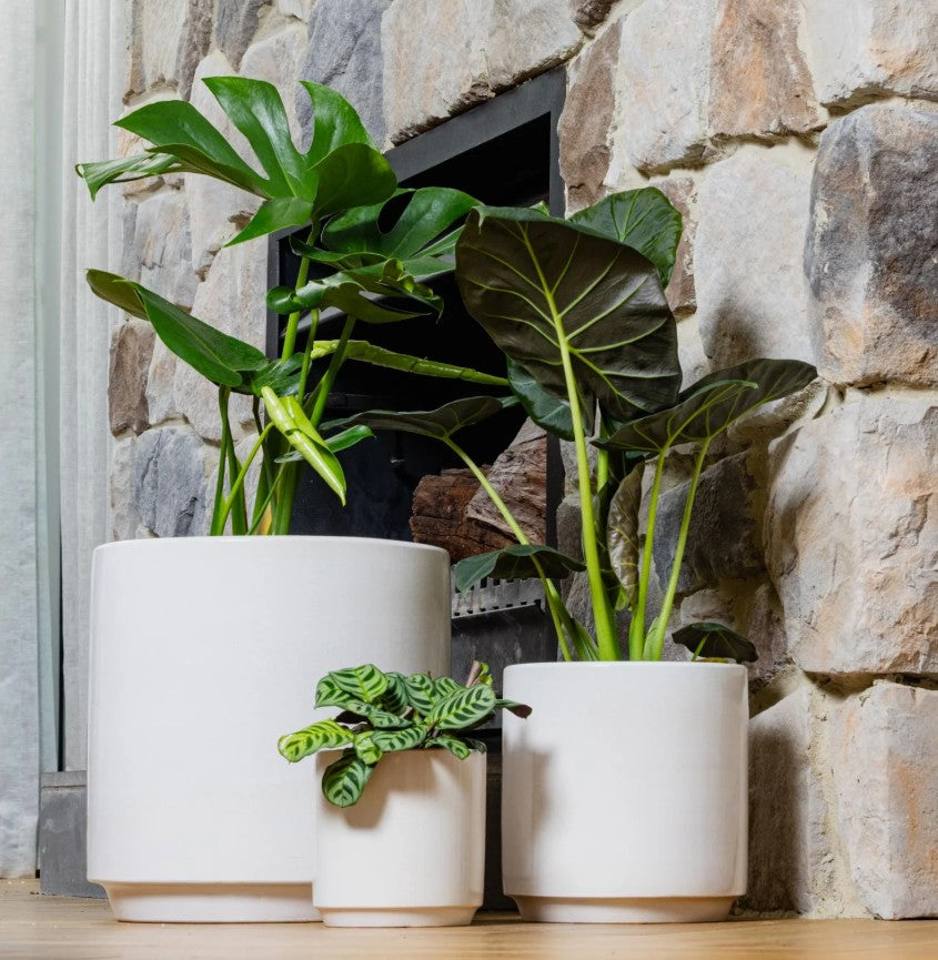 Farah Cylinder Pots S/3 - Green