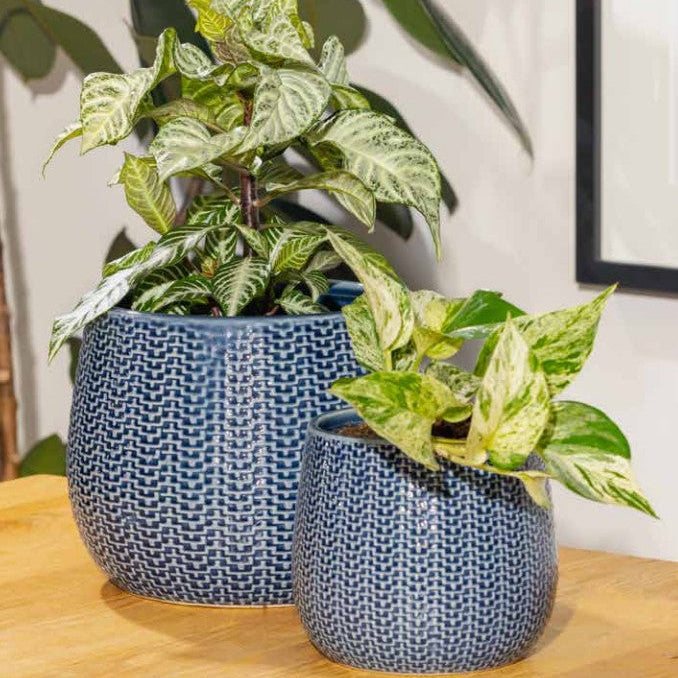 Coastal Pot S/2 - Blue