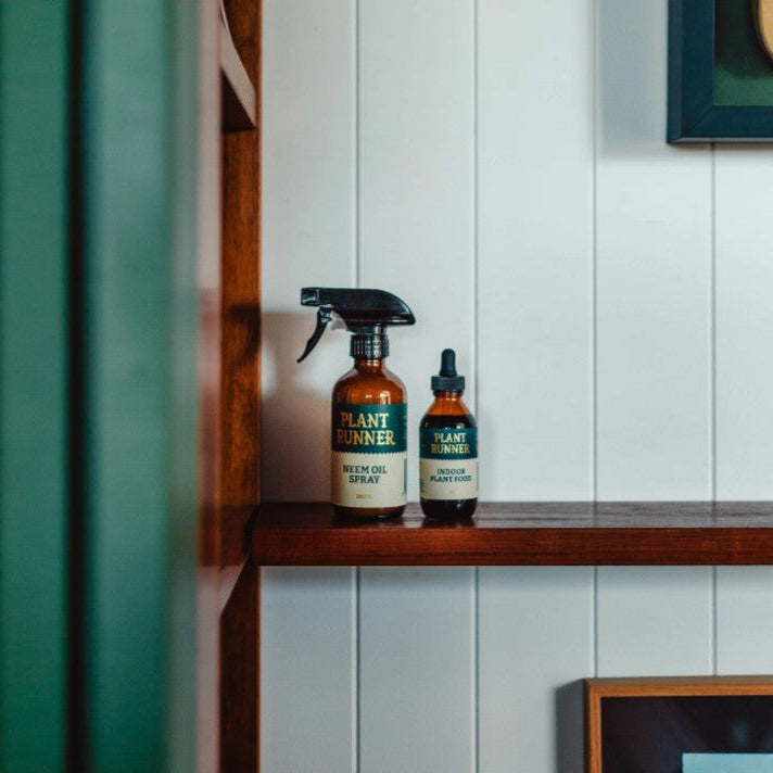 NEEM OIL LEAF SHINE 245ml - The Plant Runner