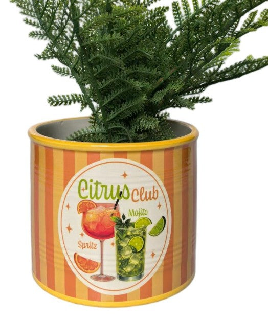 Spritz Citrus Club Planter