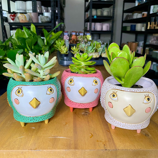 Baby Birdie Planters