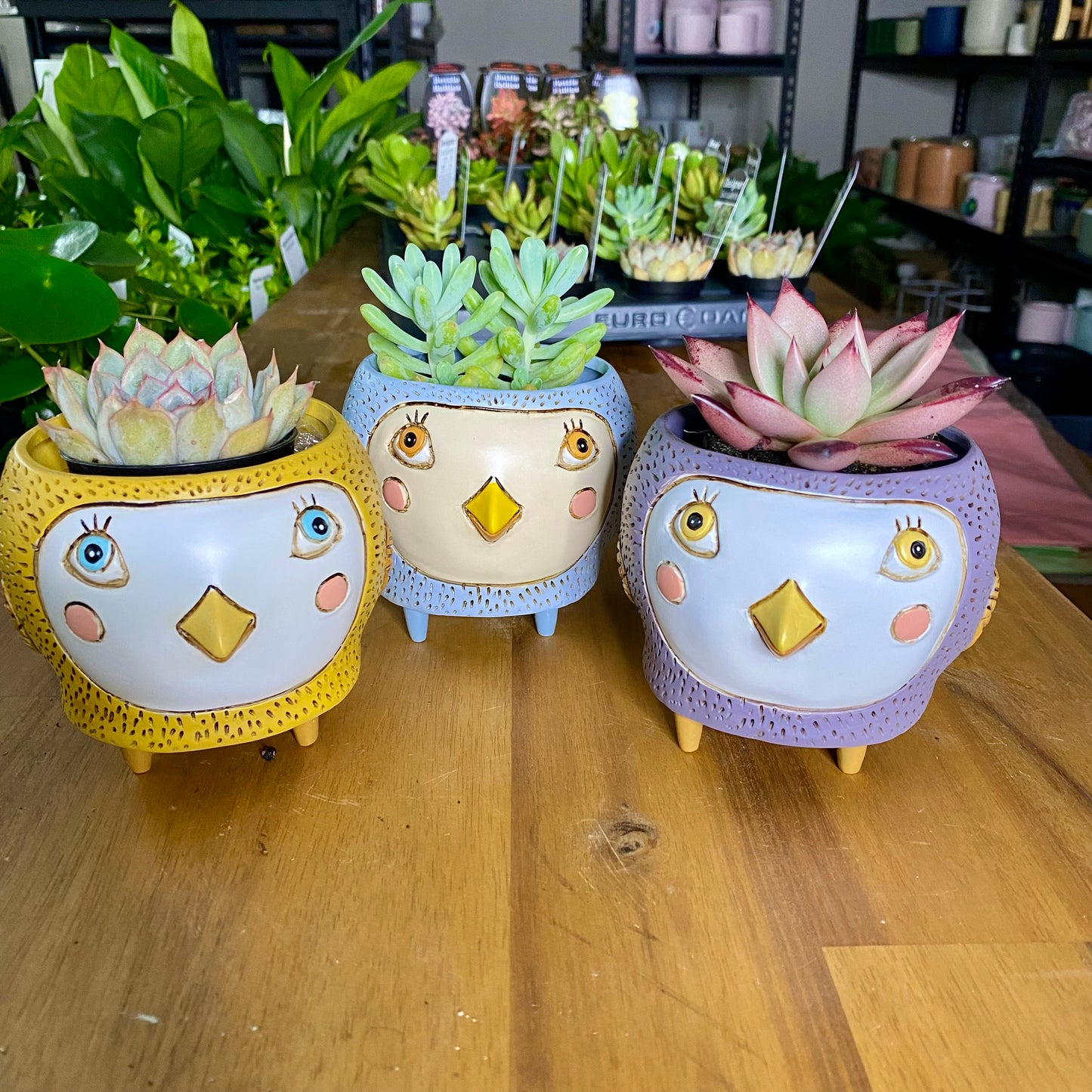 Baby Birdie Planters