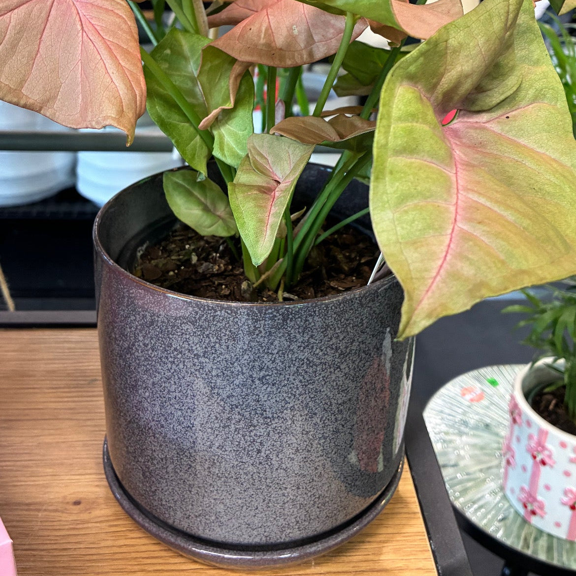 Oslo Planter - Licorice - Medium