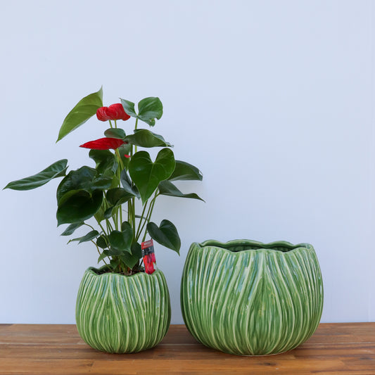 Tulip Pot S/2 Green