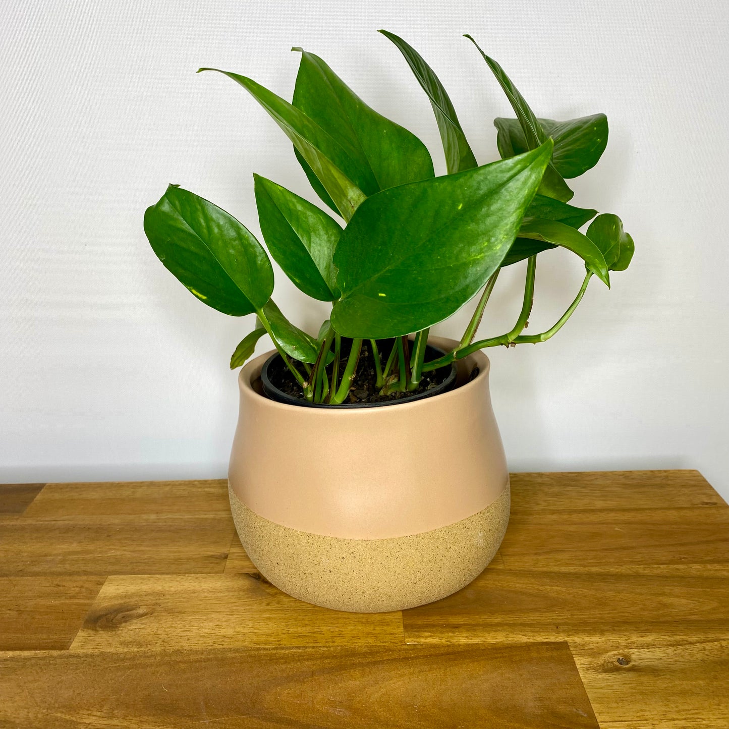 Pot Losetta Round Nude Medium