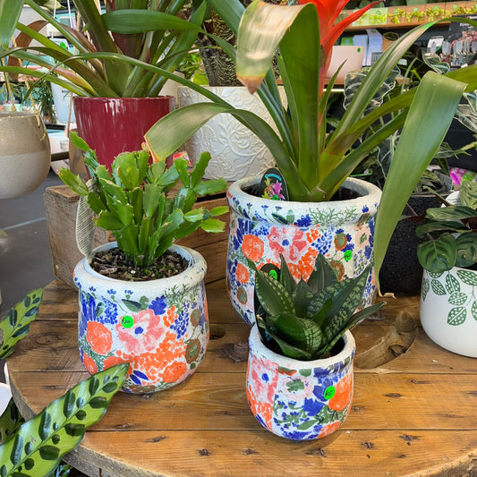 Fleur S/3 Ceramic Pots