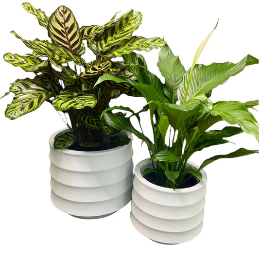 Ellipse Pots Round Set of 2 - White