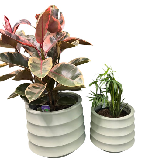Ellipse Pots Round Set of 2 - Mint