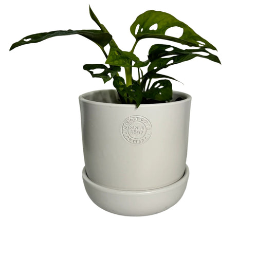 Hana Pot Small - White