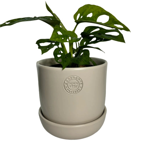 Hana Pot Small - Ecru