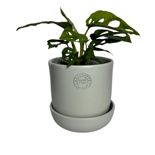 Hana Pot Small - Duck Egg