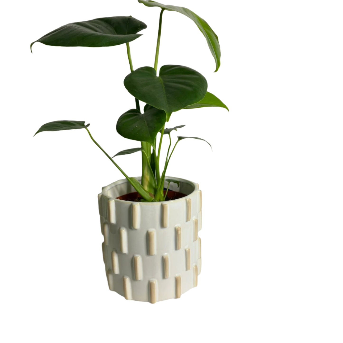 Knox Cylinder Pot - White
