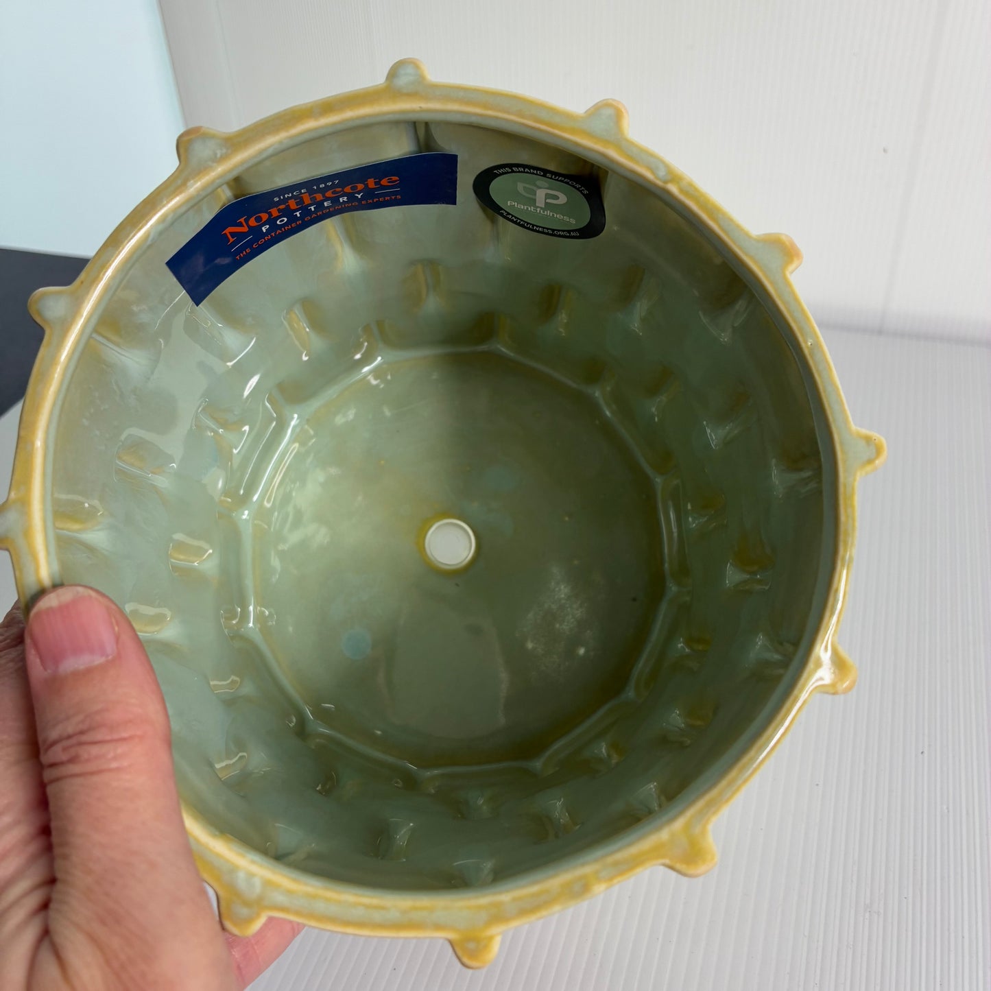 Knox Cylinder Pot - Green