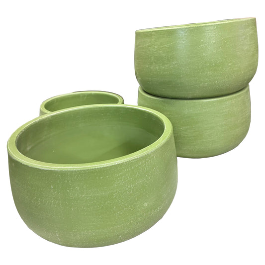 Aloe Bowl Sage - 3 sizes
