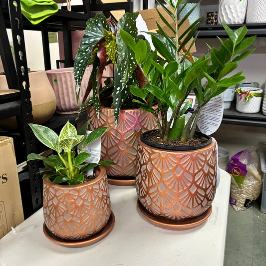 Deco Pots with Saucers - Copper - 3 sizes