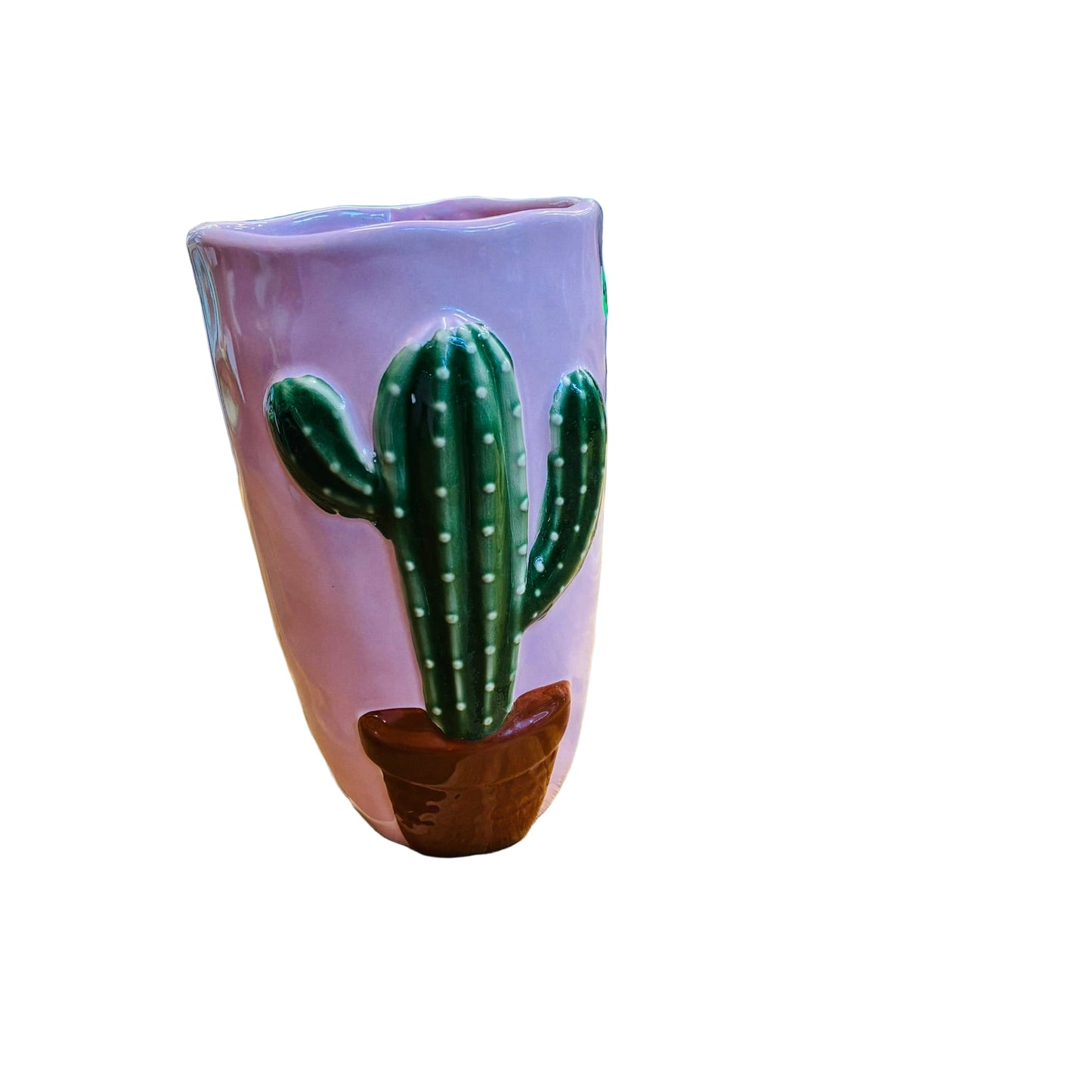 Cactus Vase PInk 18cm
