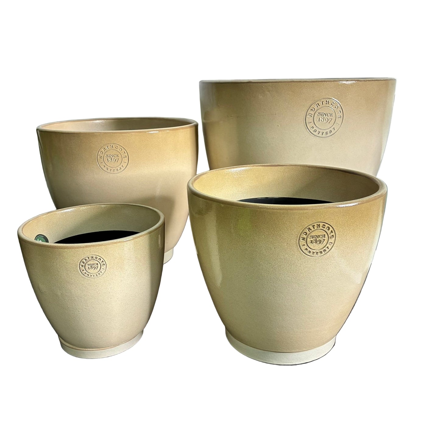 Stipple Egg S/4 - 3 colours