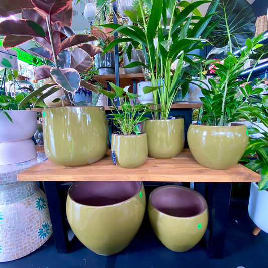 Franklin Tub S/3 Rainforest