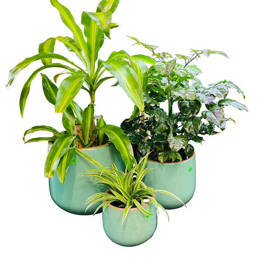 Franklin Tub S/3 Teal