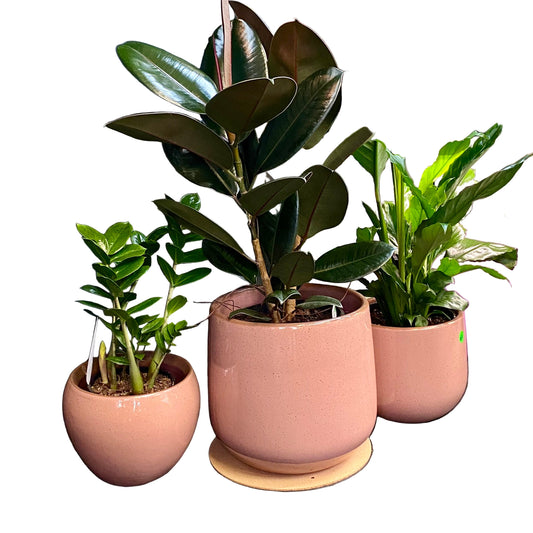 Franklin Tub S/3 Mulberry