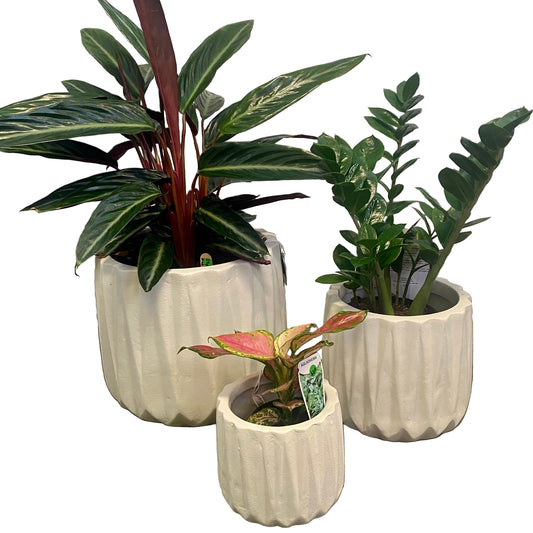 Indie Planter S/3 Ivory