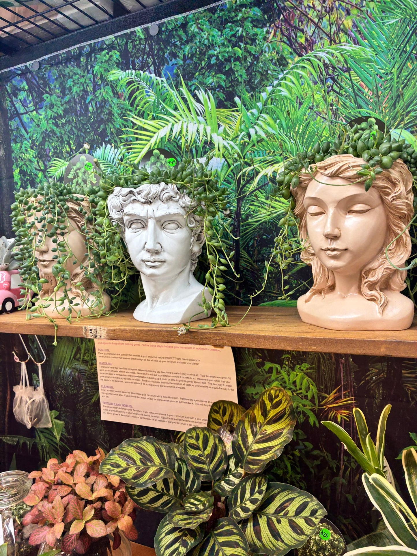 Roman Head Planters