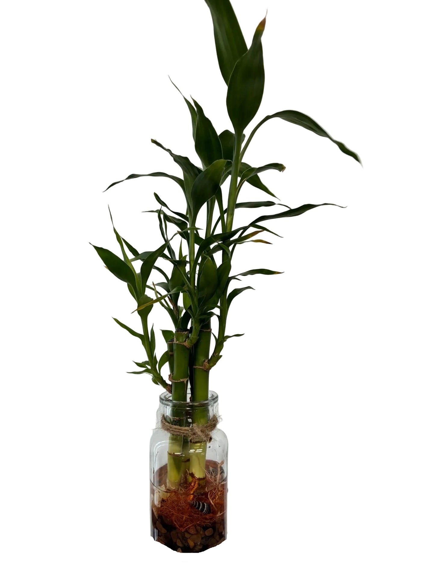 Wide Milk Bottle Glass