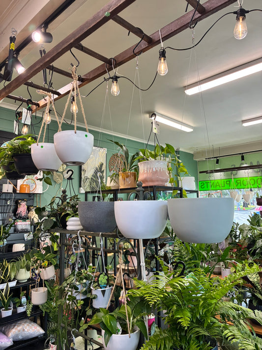 Alder Lightweight Hanging Pots