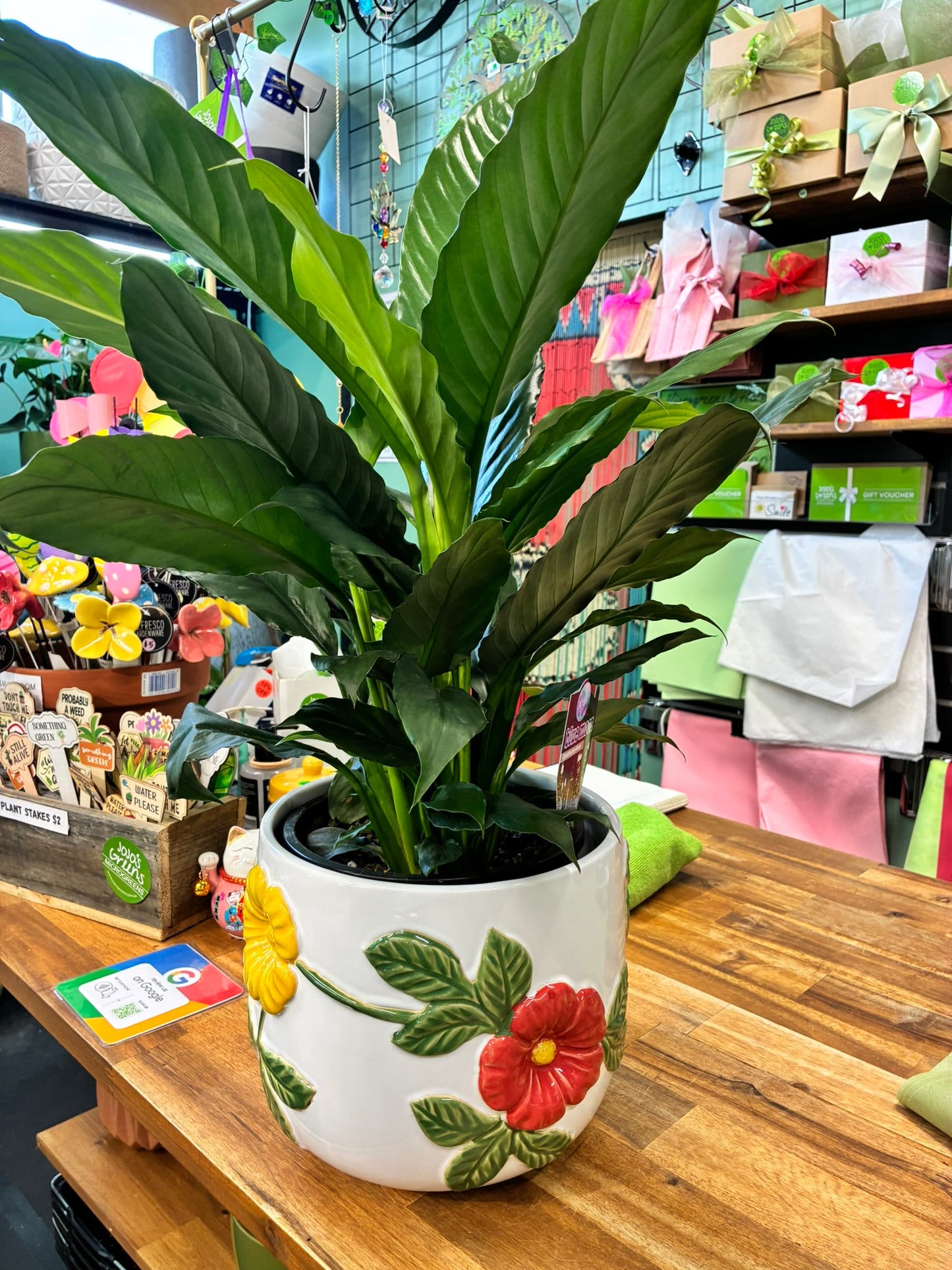 Combo - Floral Pot with Blue Moon Peace Lily